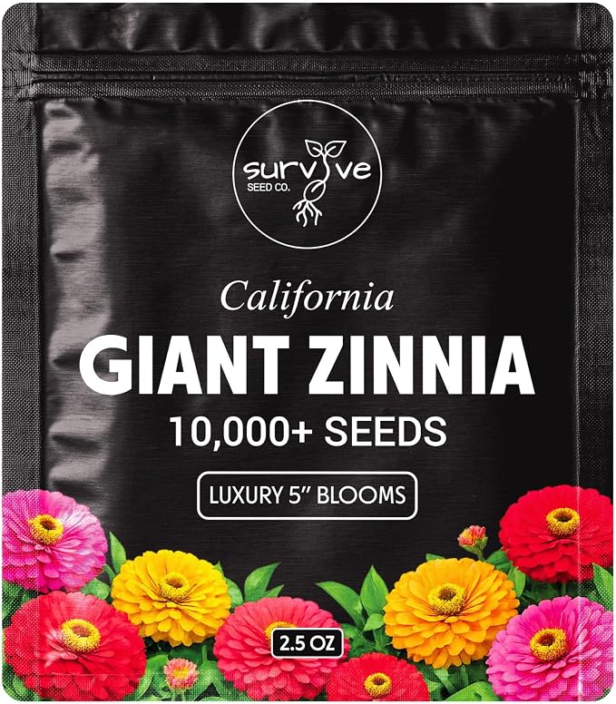 Zinnia Seeds California Giants Package of 10,000 Wildflower Seeds - Wild Flower Seeds Large Bright Blooms, Pure Non-GMO Flower Seeds for Planting, Neonicotinide Free