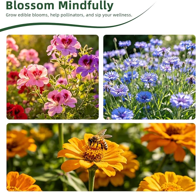 30 Edible Flower Seeds Variety Pack, 13500+ Premium Garden Seed Vault Kit, Pollinator Friendly, Indoor & Outdoor Year Round Planting, Nasturtium, Lavender, Borage, Calendula, Chamomile & More