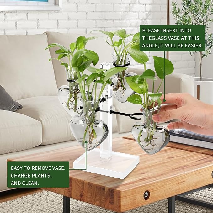 Plants Propagation Stations Plant Terrarium Kit Gift for Women | Birthday Glass Planters For Indoor Plants Home Office Decor Acrylic Plant Accessories - 4 Love Hear Vase