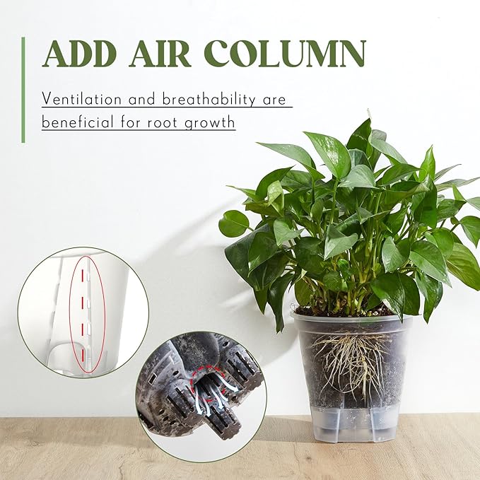 Wonderjune Self Watering Pots for Indoor Plants with Deep Reservoir and High Drainage Holes for Outdoor Plants and Flowers, Bare Root Planter(4.72'',Clear,3 Pcs)