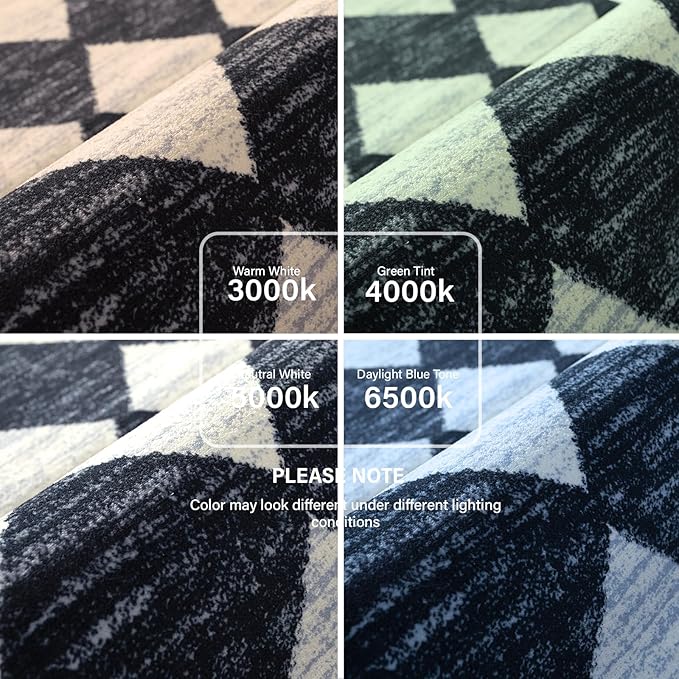 Lahome Zelie Machine Washable Area Rugs for Bedroom Aesthetic, 4x6 Soft Living Room Area Rug Non Slip Entryway Rugs, Moroccan Trellis Printed Black and White Indoor Kitchen Carpet for Bedside Office