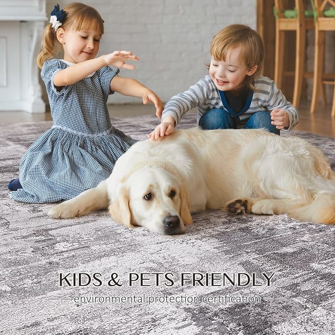 kakania Abstract 10x14 Area Rugs for Living Room: Washable Rugs Grey | Soft, Non-Slip, Low-Pile, Pet & Kid Friendly - Large Modern Home Decor Carpet for Bedroom/Dining Room/Office/Nursery
