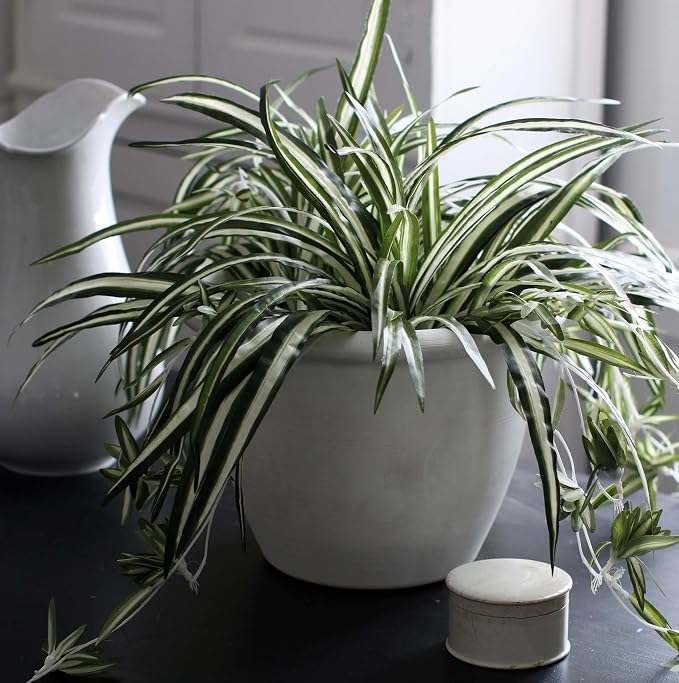 The HC Companies Sevilla Flower Planters - Outdoor & Indoor Planter - Round Self Watering Plant Pots for Herbs & More (9”, White, Pack of 1)