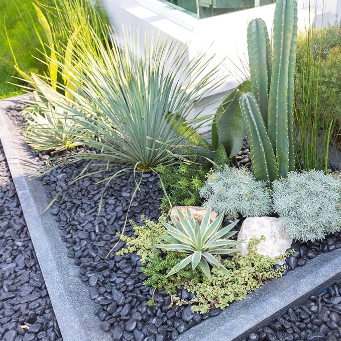 FANTIAN 10 lbs Black Rocks Pebbles for Plants, 1-2 Inch Polished Black River Rocks for Planter Garden Landscaping Vase Yard Walkway Home Décor Paving Fountain and Outdoor Decorative Stones