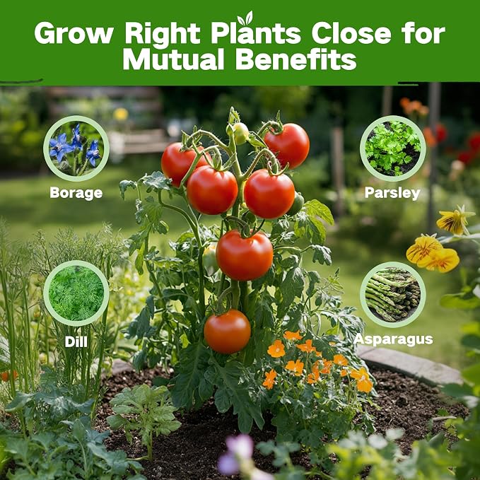 Lush&Dew Companion Plants Heirloom Seed Bank, Gardening Gifts for Women Men | 32 Varieties 30,000+ Non-GMO Vegetable Seeds for Planting in Raised Garden Bed Greenhouse, Survival Seed Kit for Food Supply