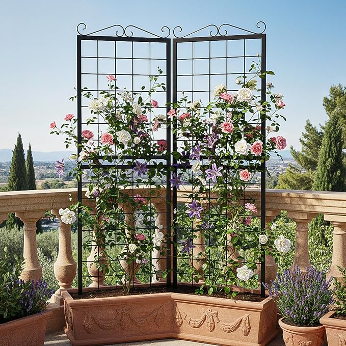SUNYRISY 2Pack Metal Garden Trellis for Climbing Plants Outdoor, 71x20in Metal Plant Support for Flowers Tomato Cucumber Rose Vegetable Garden Courtyards Lawns Decoration, Black