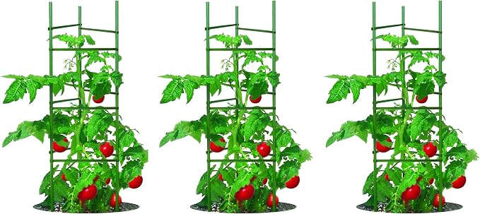 Gardener's Blue Ribbon 3-Pack Ultomato Tomato Plant Cage, Black, Model Number: TMC3PACK