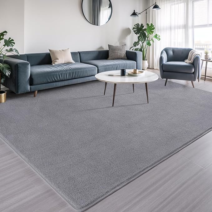 AROGAN 6x9 Area Rugs for Living Room Non Slip Dorm Bedroom Rug, Grey | Modern Area Rugs with Soft Memory Foam, Minimalist Washable Indoor Floor Carpet for Dining Room Office Kids Playroom Decor