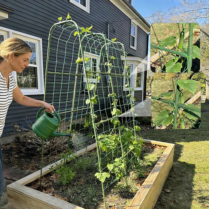 Miory Cucumber Trellis for Raised Bed, Garden Arch Trellis for Climbing Plants Outdoor, Steel with Plastic Coated Plant Support for Vines with Plastic Connector Nylon Netting (32" Lx32 Wx63 H)