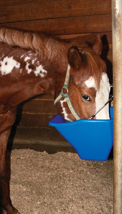 Little Giant® Plastic Better Bucket | Horse Feed Bucket | Ergonomically Designed | Flat Back Bucket | Made in USA | 20 Quarts | Blue