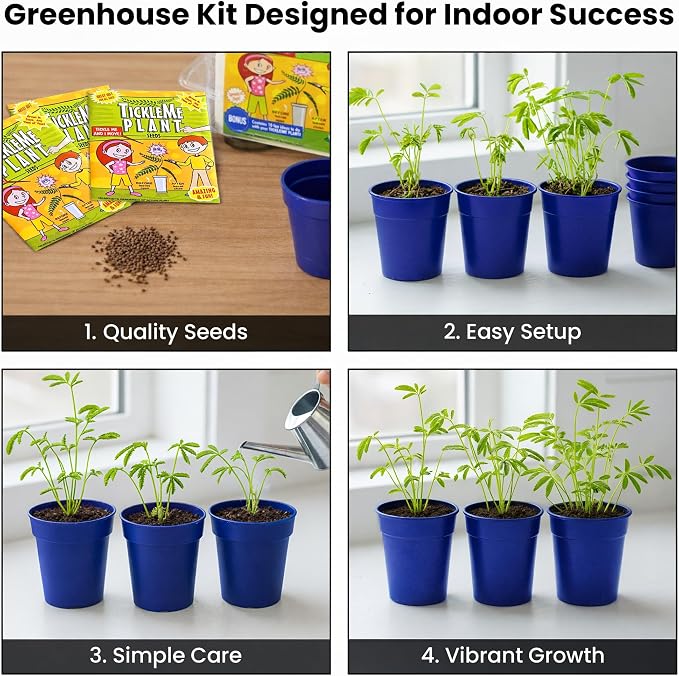 TickleMe Plant Deluxe Family Greenhouse Kit - Grow the Playful Plant that Closes Its Leaves When Tickled! Includes Mini Greenhouse, 3 Seed Packets, Soil Pellets & Pots - Fun Indoor Gardening Gift
