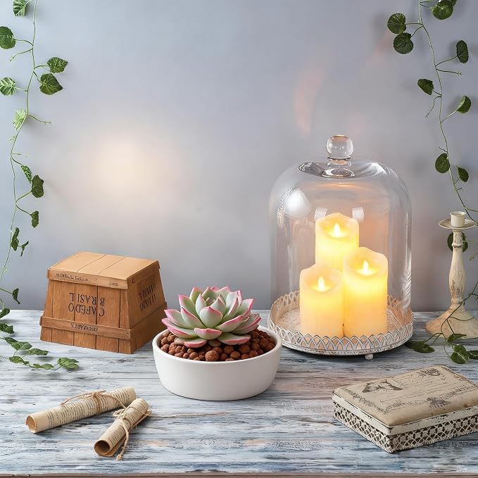 Twakutwku 14" Tall Large Sturdy Handmade Glass Cloche Dome with Metal Base in Shabby White for Plant, Terrarium, Collectibles, Candle. Cloche Glass Dome, Bell Jar Display Case (Shabby White, 14")