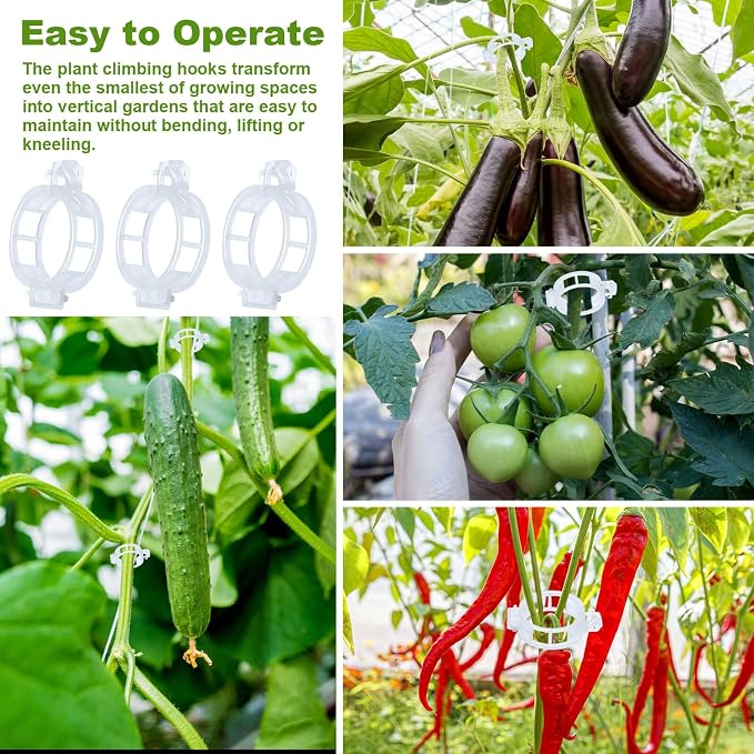80Pcs Tomato Hooks with String, Support Hooks, Holder & Plant Support Clips with 33.3ft Twine to Prevent Pinching or Falling Off