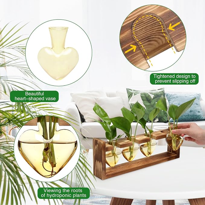 Plant Propagation Stations Heart Plant Terrarium Kit | Gift for Women Plant Lover Glass Vases