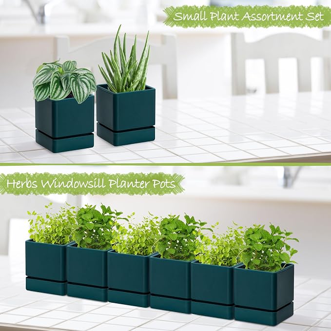 D'vine Dev 4 Inch Herb Planter Pot, Plastic Planter with Drainage Holes and Saucer, Modern Decorative Gardening Pot for Indoor Plants, Flowers, Herbs, Succulents, Green, Set of 6, 76-Y-C-6