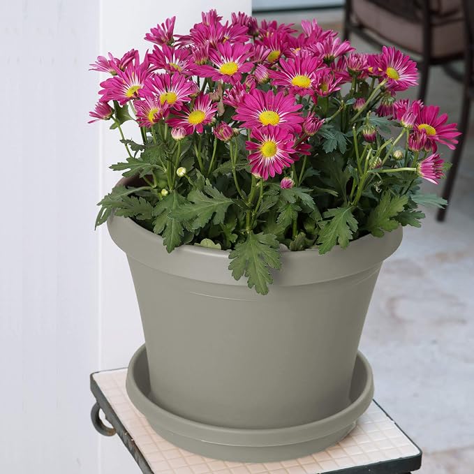 Bloem 6" Terra Round Plant Saucer, Lightweight UV-Resistant Resin Outdoor & Indoor Flower Pot Tray - Fits 6-inch Planter Pots, Pebble Stone