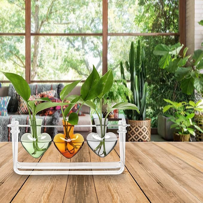 Clear Plant Terrarium Propagation Stations with Acrylic Stand | Birthday Gifts for Women Office Home Decor