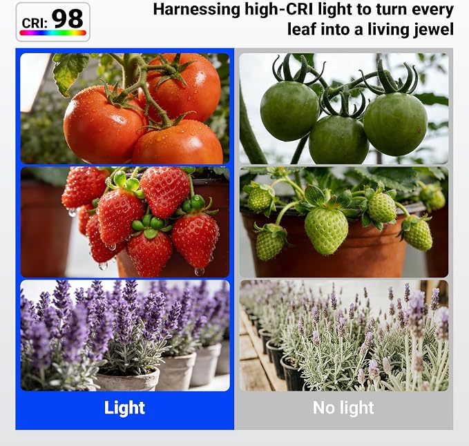 Barrina Orbgrow OG11A Grow Light Bulbs for Indoor Plants, Integrated Dimming & Timing, 5000K 22W(2 x 11W, 200 Watt Equiv), E26 Plant Light Bulb, Full Spectrum for Seeds and Greens, 2 Packs, White