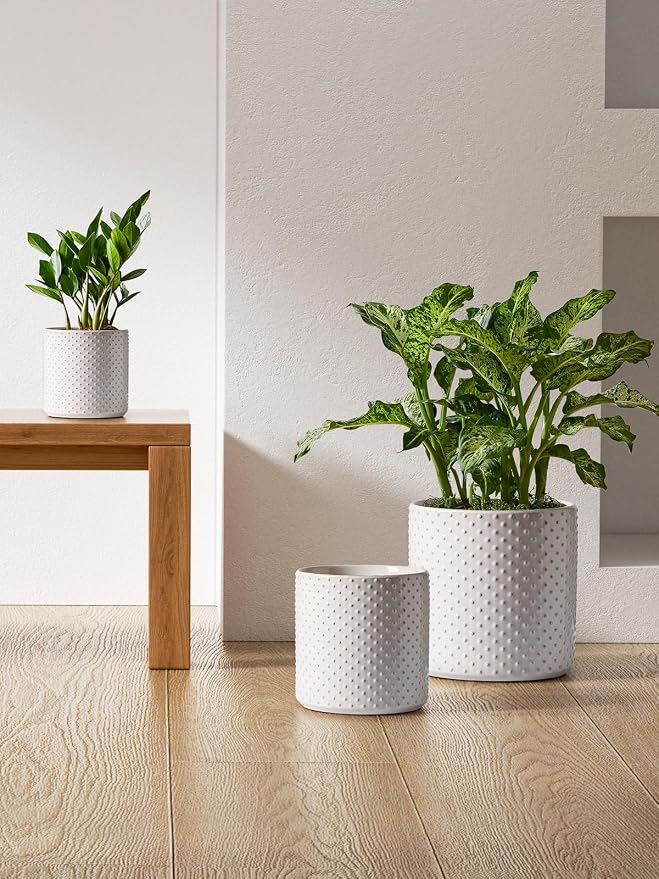 LE TAUCI 10+8+6 Inch Ceramic Pots for Plants, Indoor Planters with Drainage Hole and Plug, Raised Dots Cylinder Flower Pots Set of 3 for Living Room and Bedroom, Glossy, Arctic White