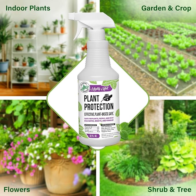 Mighty Mint Peppermint Oil Plant Protection Spray – Insect & Pest Control for Gnats, Spider Mites & Aphids – Plant-Based, Easy-to-Use with Microfiber Cloth- 32 oz