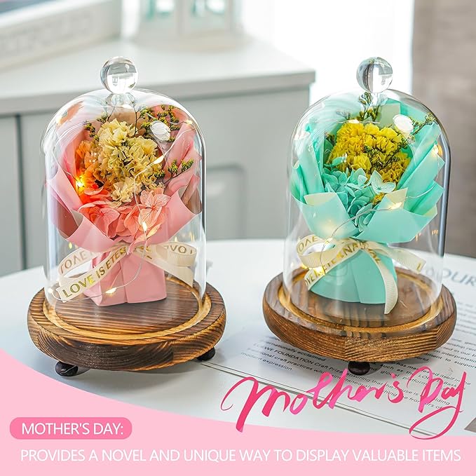 2 Pack Decorative Glass Cloche Bell Jars with Wooden Bases, 6.4" Tall Tabletop Accent Covers for Seasonal Centerpieces, Fairy Lights and Home Decor