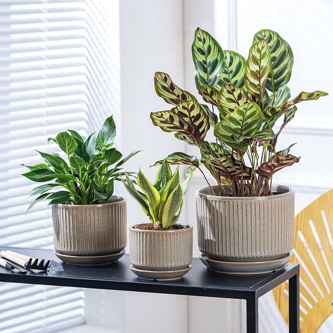 SURE YUESI Ceramic Plant Pots Set of 3, Indoor Outdoor Planters with Drainage Hole and Saucer, Ceramic Flower Pots for Indoor Plants, 4.3+5.5+6.8 Inch, Home, Garden, Patio and Office, Matte Grey