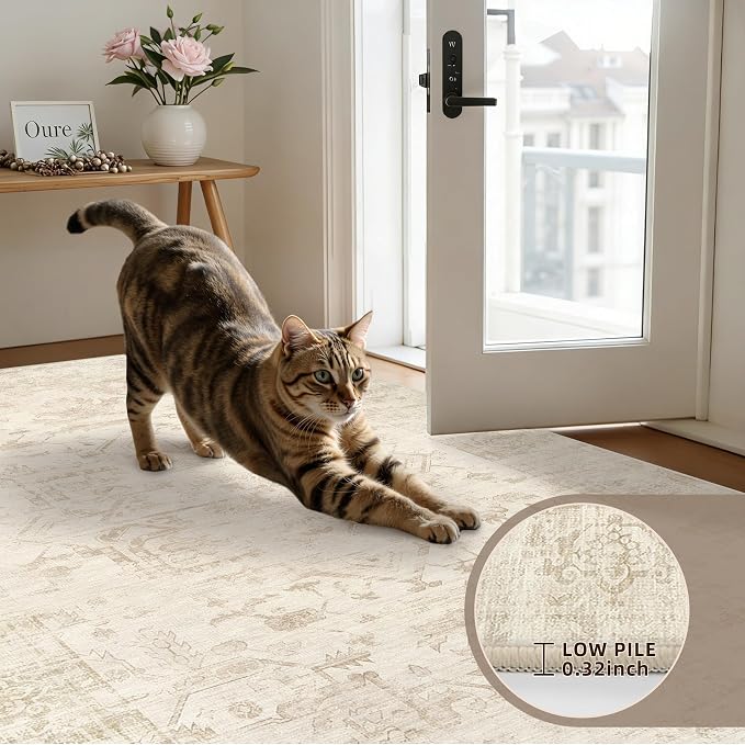 4x6 Area Rugs Living Room: Bedroom Washable Carpet Beige/Brown | Large Vintage Boho Indoor Decor Neutral Soft Nursery Farmhouse Dining Room Office Floor Non-Slip Low Pile Under Table Rug