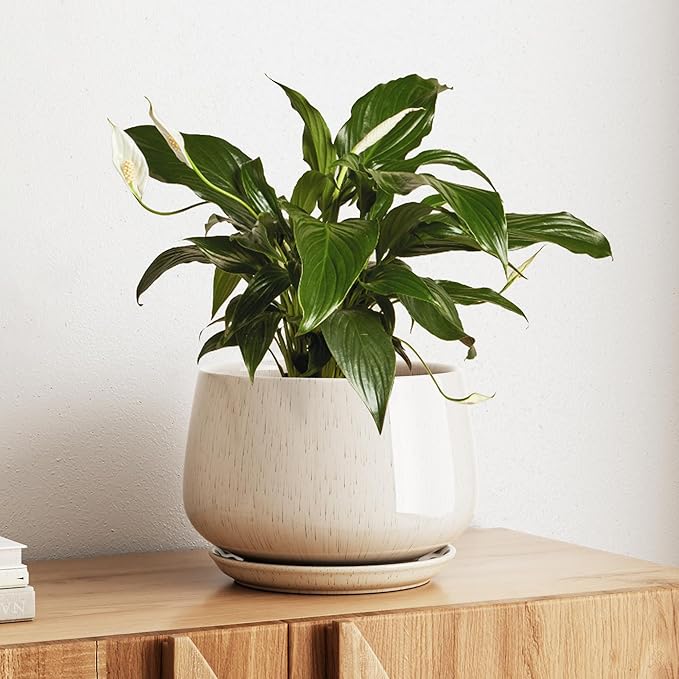 LE TAUCI Ceramic Planter, 10 Inch Plant Pot with Drainage Hole & Saucer – Durable Indoor Planter for Modern Home Decor, Reactive Glaze Beige