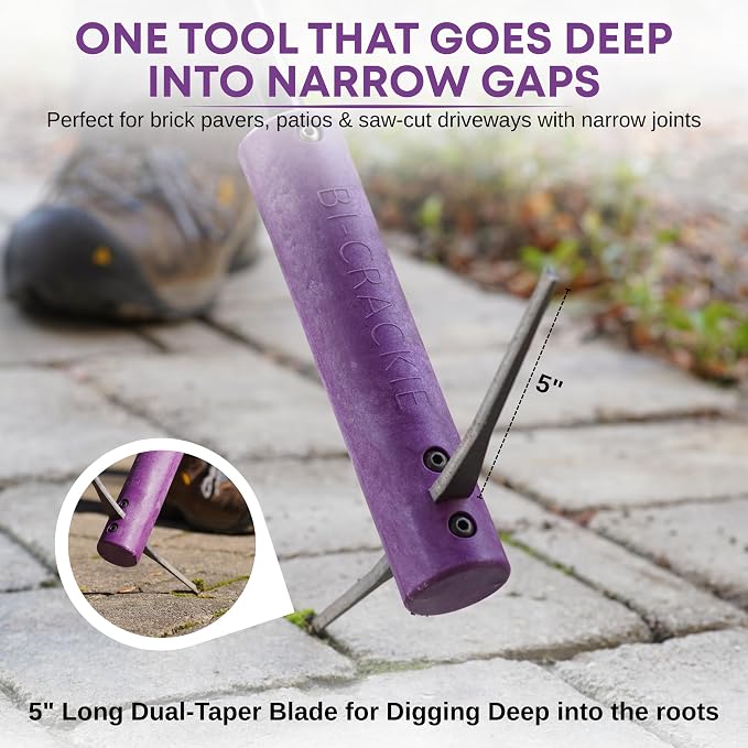 BICRACKIE Stand-Up Paver Crack Weeding Tool with 60" Steel Pole; Steel Blade with 2-Sized, 5" Tapered Ends for Patios, Driveways (Saw-Cut), Sidewalks, Pavers to Remove Weeds Easily; Made in USA