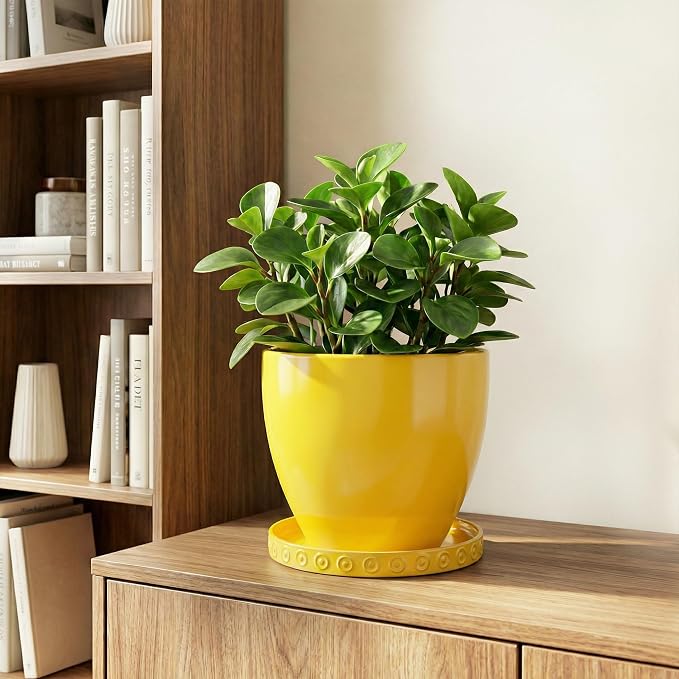Eightpot Plant Trays for Pots 5.6 Inch, Plant Water Catcher Tray for Indoor Outdoors, Ceramic Plant Saucer, Round Plants Plate, Boho Plants Dishes to Catch Water, Decorative Flower Pot Trays, Yellow