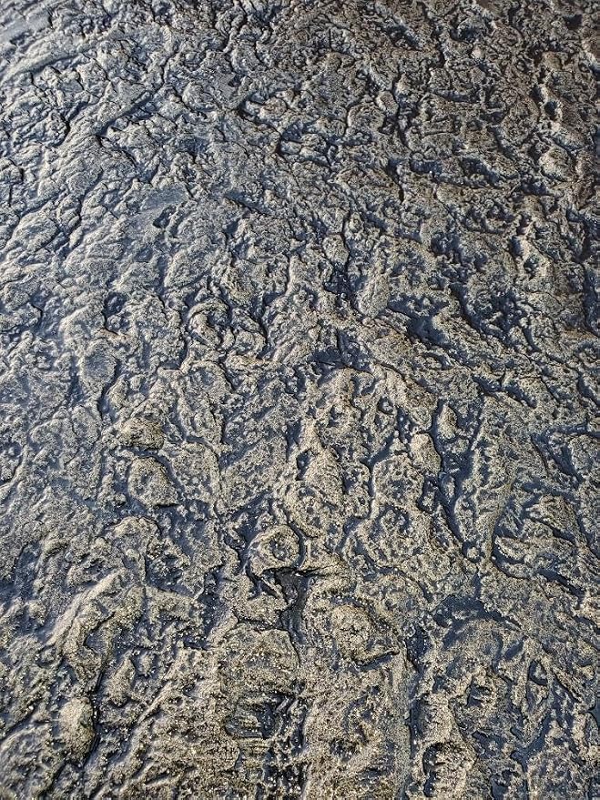 The Original Designed Rugged Stone Concrete Stamping Texture Roller And Masonry Form Tool Favorite Since 2005. (RuggedStone) This Concrete Stamping Roller, Creates Relistic Rugged Stone Textures.
