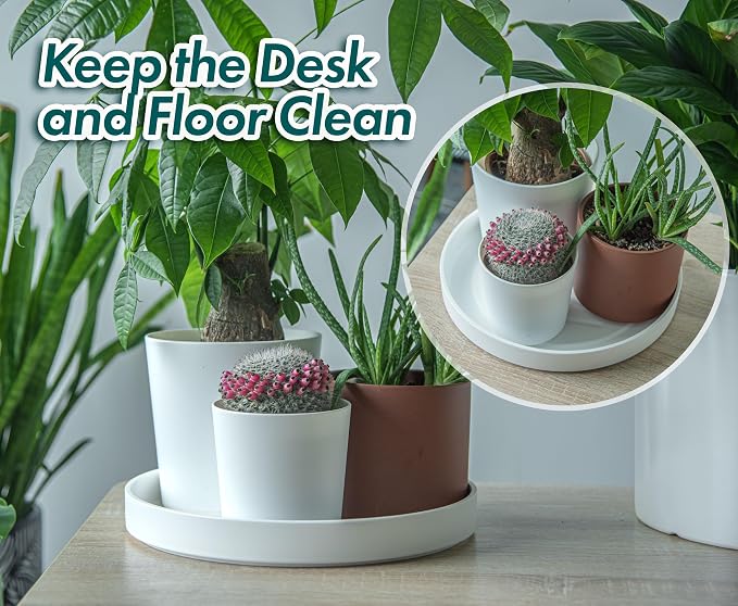 Phoenix Vine 12 Inch Plastic Plant Saucer Water Drip Tray, Heavy Sturdy Round Plant Drainage Tray for Indoors Outdoor, Set of 2, Matte White, 21-TY-12W-2