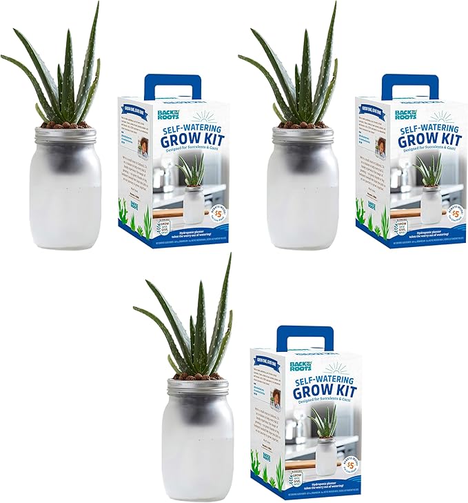Back to the Roots Self Watering Grow Kit - Glass Hydroponic Planters for Succulents and Cacti Self-Watering System (Pack of 3)