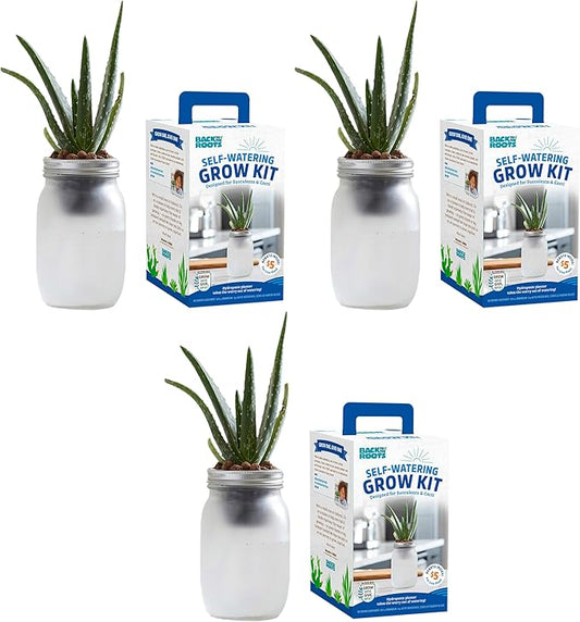 Back to the Roots Self Watering Grow Kit - Glass Hydroponic Planters for Succulents and Cacti Self-Watering System (Pack of 3)