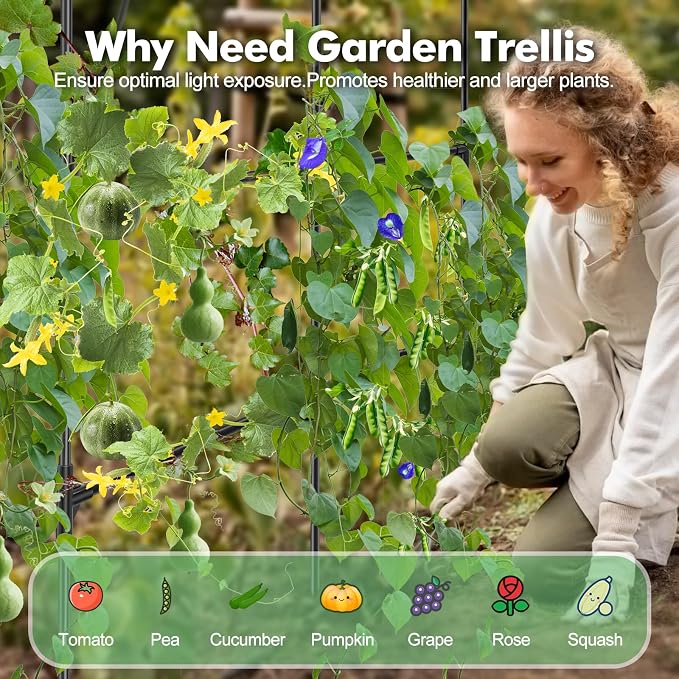 GOJAWAY 7*5.4* 5FT Arch Metal Garden Trellis,Outdoor Climbing Support Frame | Large Tall Cucumber Tunnel Trellis for Pathway Yard,Suitable for Supporting Grape Rose Beans Raised Bed PP Coasted Aluminum