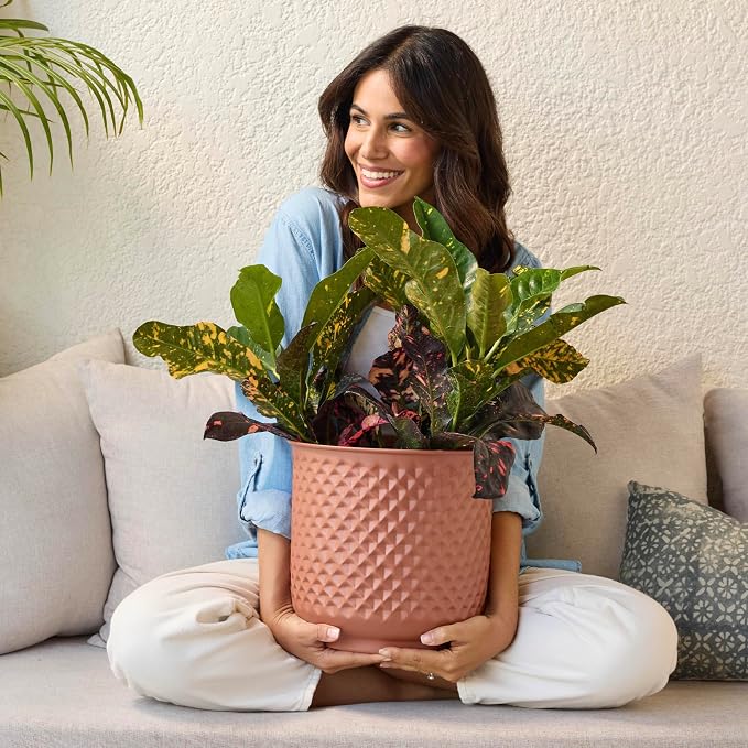 Bloem Prism Indoor Metal Cachepot Set - Includes 6", 8", 10" and 12" Decorative Planters with Powder-Coated Finish, Removable Drain Plugs, Terra Cotta