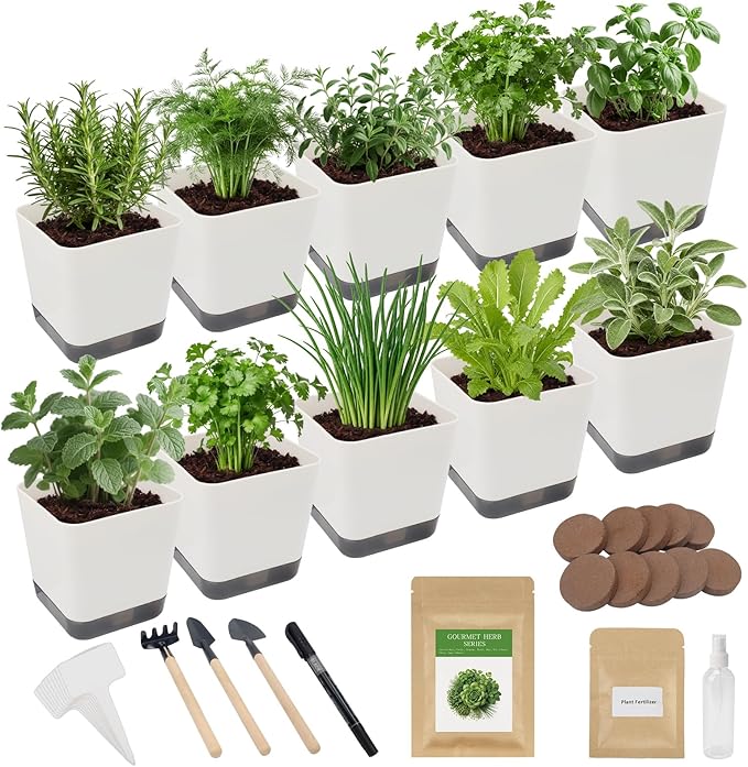 Indoor Herb Garden Starter Kit, 10 Non-GMO Herb Seeds for Basil, Parsley, Thyme, Mint, Cilantro, Dill, Oregano, Chives, Sage, Mustard Including 10 White Pots, Nutritional Soil, Ideal Xmas Gift