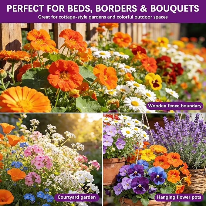 Wildflower Seeds Mix 1/2 lb, 19830+ Seeds Perennial& Annual 36 Varieties Flower Seeds for Planting，Non-GMO Heirloom Bulk Wild Flower Seeds for Indoor & Outdoors, FlowerSeed Packets for Home Garden