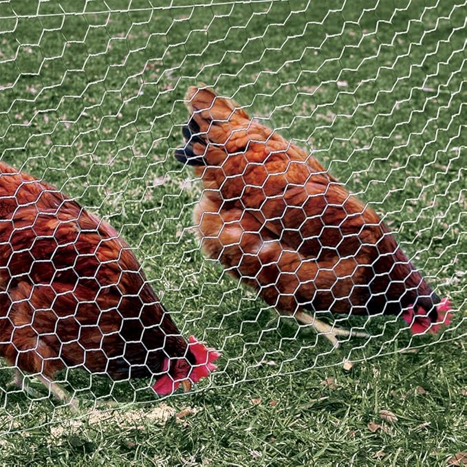 YARDGARD 1 Inch Poultry Netting, Chicken Wire Fence, 20 Gauge Galvanized Steel, Rabbit Fencing, Bird Enclosures, Garden Protection and Plant Support, 60 Inches x 50 Feet