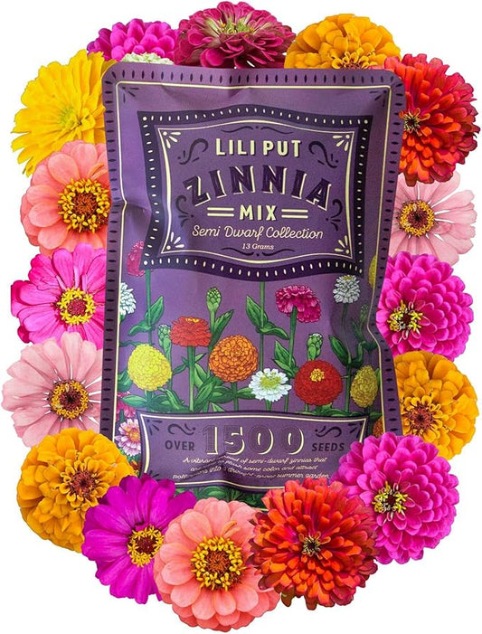 Zinnia Seeds for Planting Outdoors - ~1,500 Lilliput Semi-Dwarf Zinnia Seeds - Dazzling 1-2" Lush Pompom-Like Dwarf Bulbs - Zinnia elegans Pollinator Seed Mix - Bright Annual Flower Seed Packets