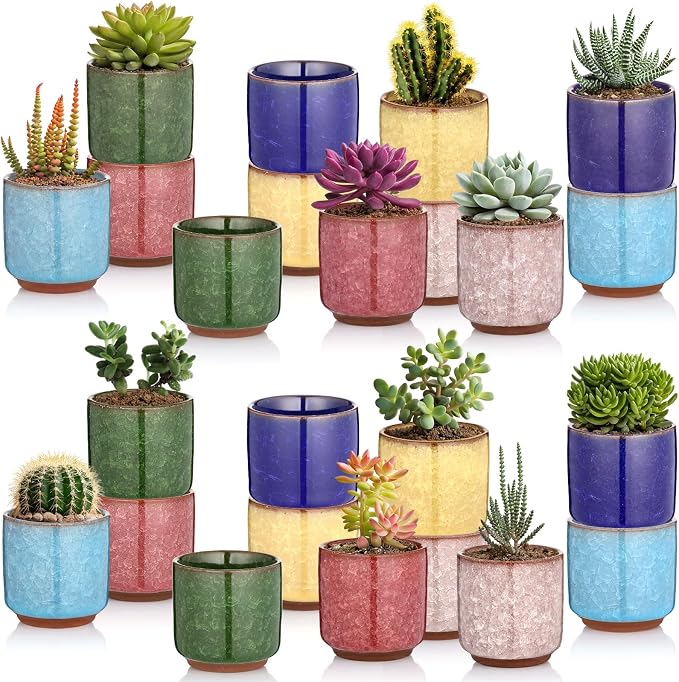 24 Pack 2.36 Inch Small Ceramic Succulent Planter Pot with Drainage Hole, Mini Ice Crack Glaze Flower Pots for Indoor Succulent Planters for Cactus Plant Lover Gifts for Women Mom Coworker