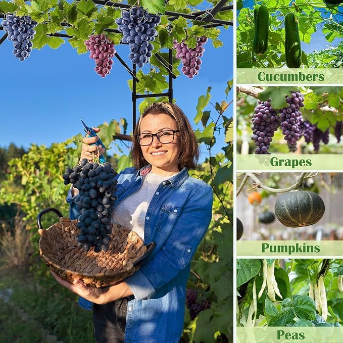 DoCred Garden Arch Trellis for Climbing Plants, 87" H x 118" L x 79" W Large Grape Vine Trellises Arch Arbor Gazebo, Grape Trellis for Outdoor Courtyard and Garden Decoration, Black