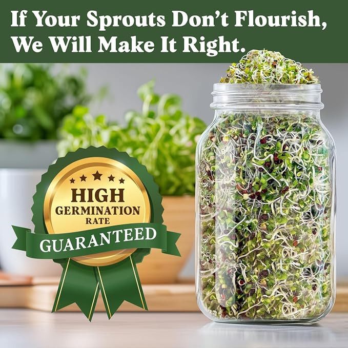 Seedboy Organic Non-GMO Broccoli Seeds for Sprouting - USA Grown Microgreens Sprouting Seeds - 8 oz Bag Makes 8 Quarts / 32 Servings (Broccoli)