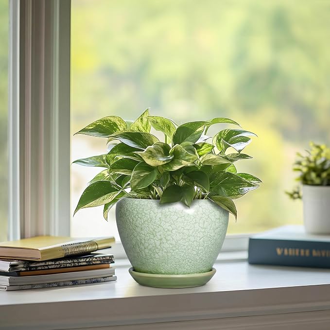 Ceramic Flower Pot, 6 Inch, Crackle Light Green | Drainage Hole and Saucer, Modern, Round Indoor Planter, For Indoor Succulent Plants