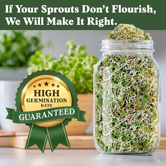 Seedboy Organic Non-GMO Clover Seeds for Sprouting - USA Grown Microgreens Sprouting Seeds - 8 oz Bag Makes 8 Quarts / 32 Servings (Red Clover)