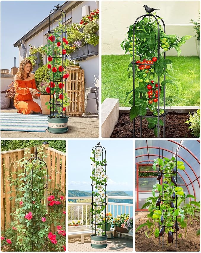 2 Pack Garden Obelisk Trellis for Climbing Plants Outdoor, 6.2 FT Tomato Cage, Rose, Flowers, Grape, Pea, Cucumber Trellis, Rustproof Plastic Coated Metal Plant Support Trellis for Potted Plants