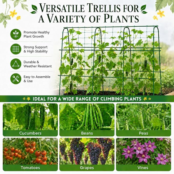 FOLLOOK Cucumber Trellis for Raised Garden Bed, Rustproof Metal Garden Arch Trellis for Climbing Plants Support Outdoor Fruit Grape Vine Vegetable Tomato Bean Pea Trellis, 63x48inch, Green