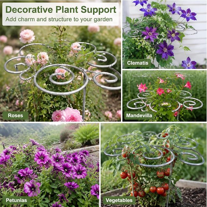 Scroll Metal Plant Support Rings – Heavy Duty Iron Garden Flower Stakes for Peony, Rose, Clematis & Vegetables, Decorative Spiral Plant Cage with Anti-Rust Coating (Large)