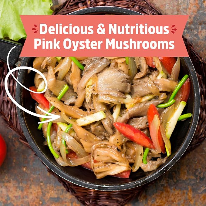 Back to the Roots Organic Pink Mushroom Grow Kit, Harvest Gourmet Mushrooms in 10 Days (Pack of 2)