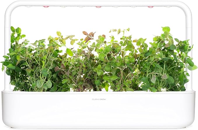 Click and Grow Smart Garden Oregano Plant Pods, 3-Pack